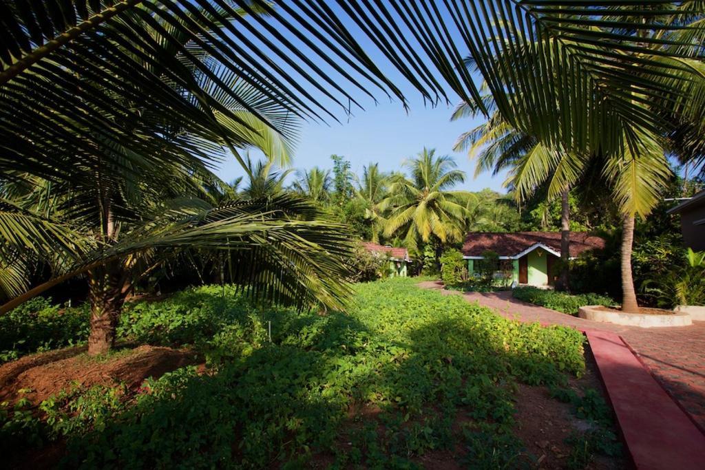 Dunhill Beach Resort Agonda Exterior photo